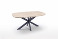 Radious Travertine Table